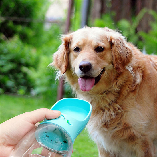 Pet Water Cup Outdoor Portable Water Bottle for dogs